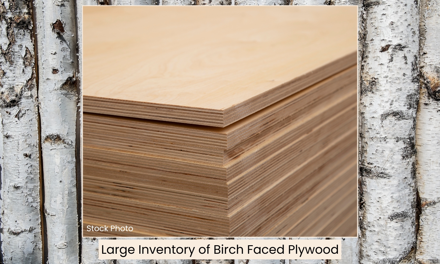 Birch Faced Plywood (3)